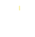 GLOBAL STANDARDS